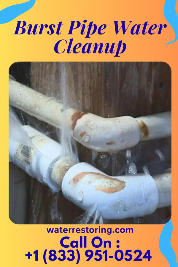 Burst Pipe Water Cleanup in Daleville, AL