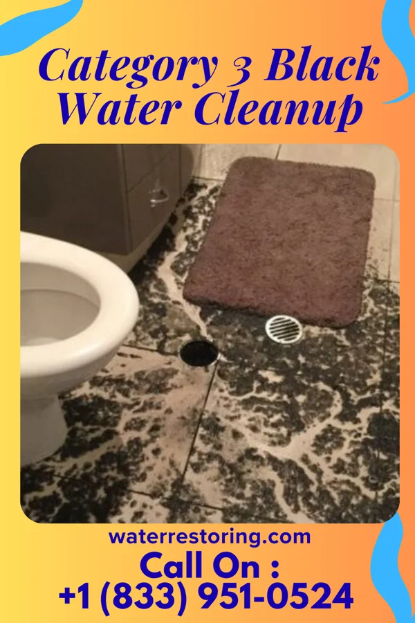 Category 3 Black Water Cleanup in Daleville, AL